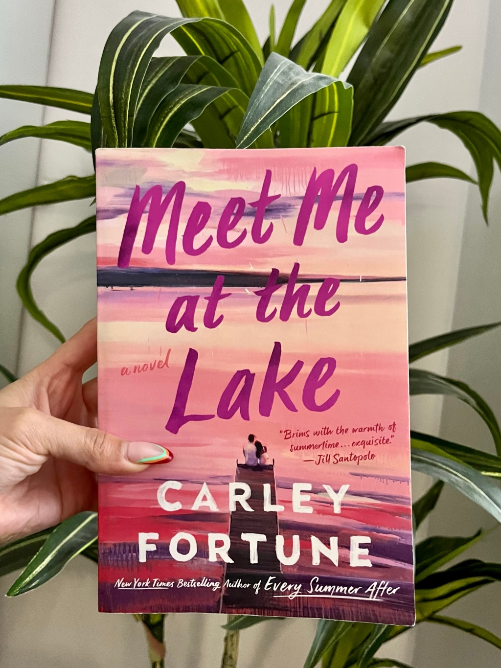 Book Review: Meet Me at the Lake by Carly Fortune